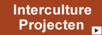 http://inter-focus.nl